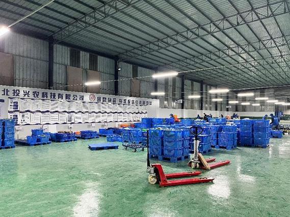 北投兴农公司食材配送仓库 梁希林与集体用餐配送服务的专业化实践